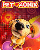 Pet Xonix (240x320)